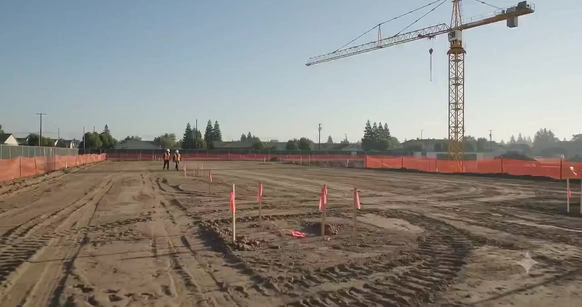 Site clearing